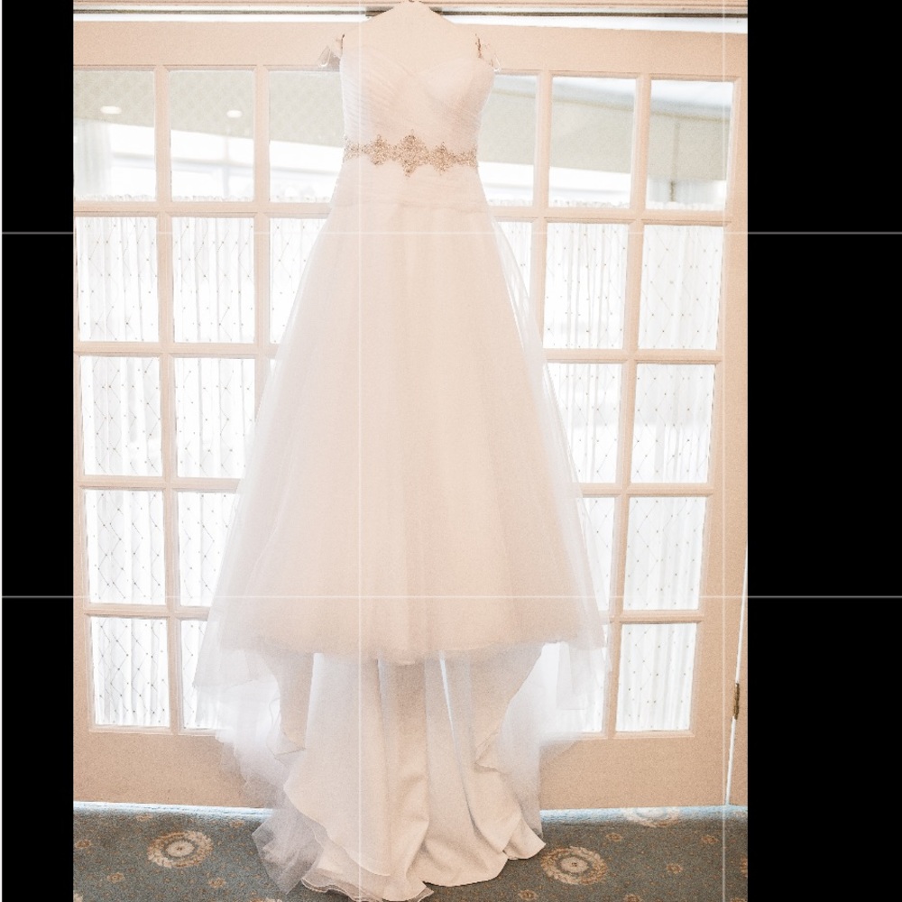 Last day @ this price Designer Eden Bridal Gown - Picture 5 of 16